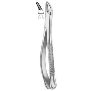 Extracting Forceps